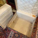 Louis Vuitton trunk with tray