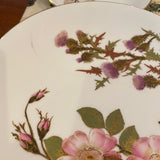 set of 11 hand painted floral plates Caldwell of Phila 9"