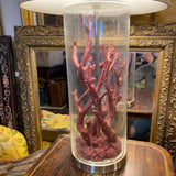Coral & Glass Lamp with Off-White Shade