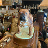 bulldog  by Royal Worcester