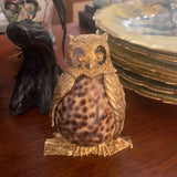 shell owl