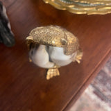 shell owl