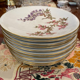 set of 11 hand painted floral plates Caldwell of Phila 9"