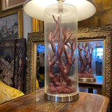 Coral & Glass Lamp with Off-White Shade