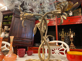 Gilt Lily Pedestal Side Table with Glass Top