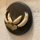 Pair of Bear Tooth & Claw Mounted Disks