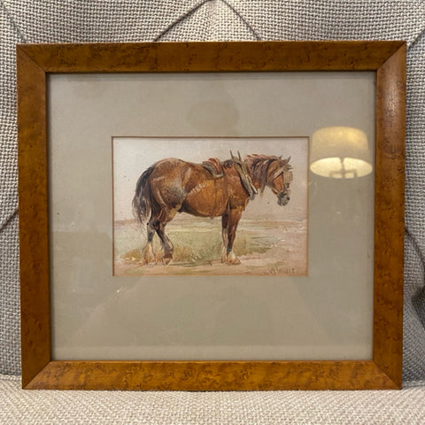 water color by H. B. Willis of horse