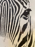 Large zebra silk screen in plexiglass case frame