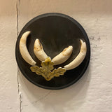 Pair of Bear Tooth & Claw Mounted Disks