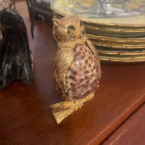 shell owl