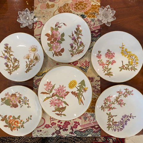 set of 11 hand painted floral plates Caldwell of Phila 9"